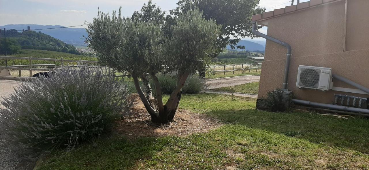 Le Pressoir Villa Mercurol-Veaunes Exterior photo